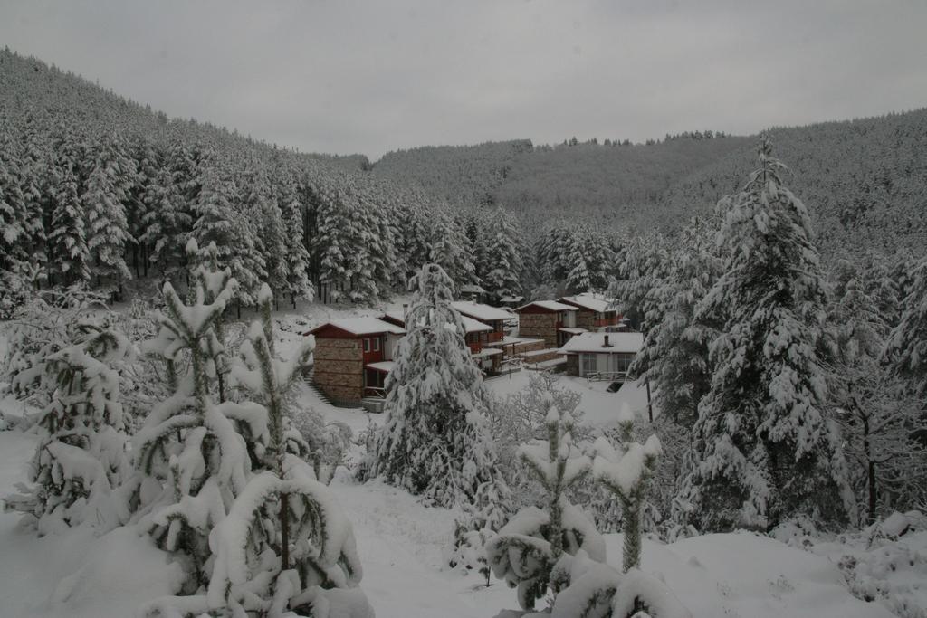 Guesthouses Prav Kamen Dolno Dryanovo エクステリア 写真