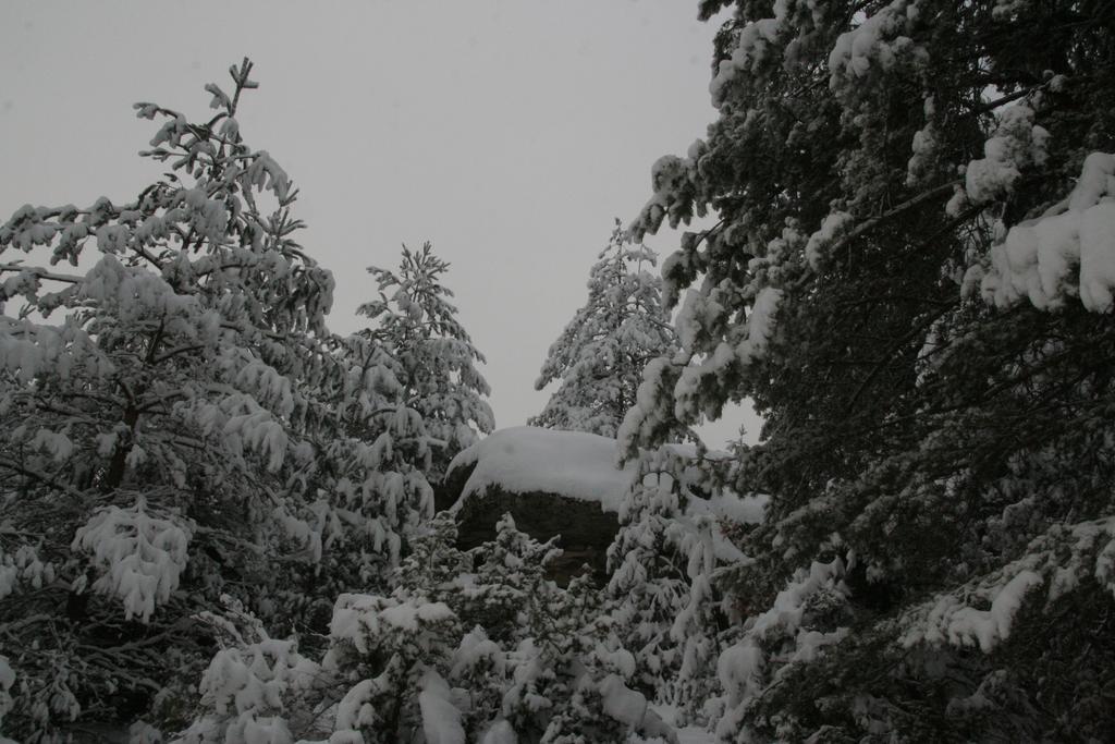 Guesthouses Prav Kamen Dolno Dryanovo エクステリア 写真