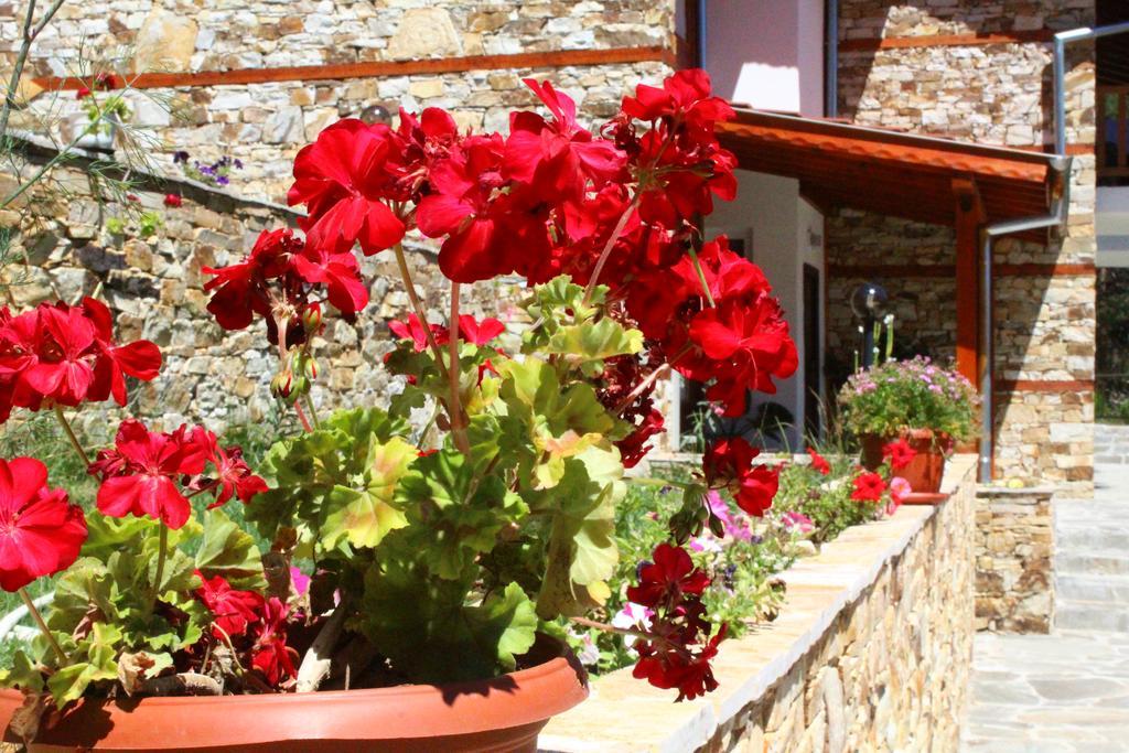 Guesthouses Prav Kamen Dolno Dryanovo エクステリア 写真