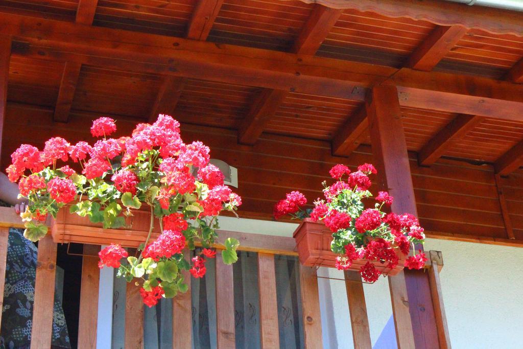 Guesthouses Prav Kamen Dolno Dryanovo エクステリア 写真